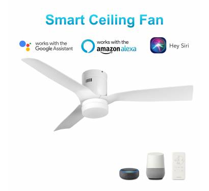 Fans