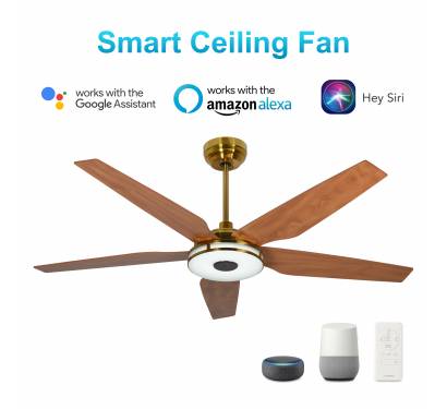 Fans