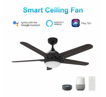 52 inch Ceiling Fan with Smart Technology